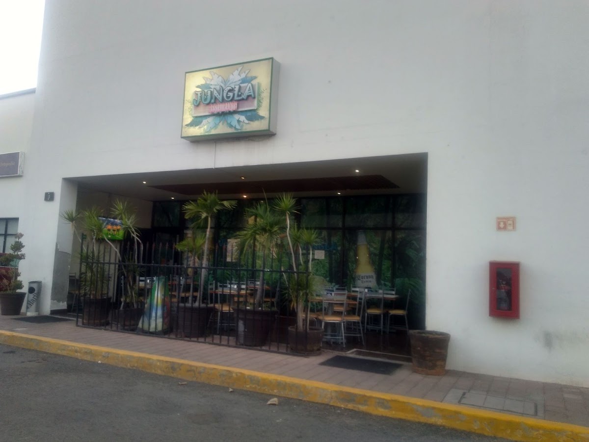 La Jungla Botanero
